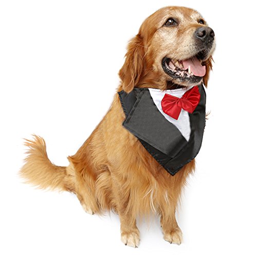 easy tuxedo bandanna costume