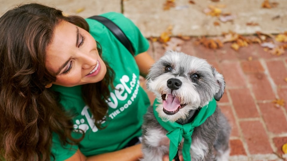 rencontre proprietaire de chiens