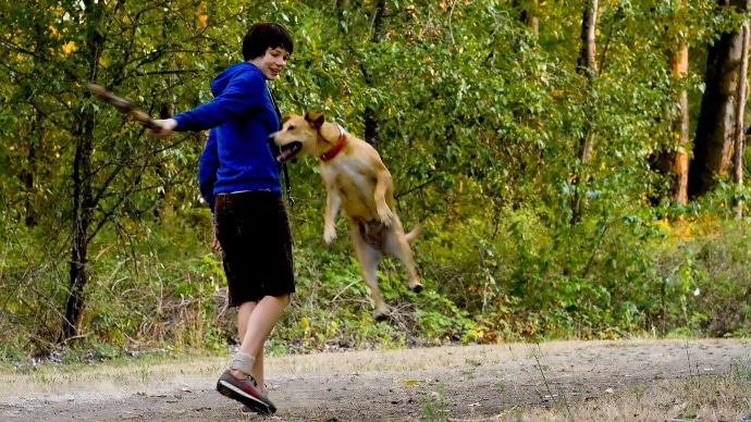 Femme qui joue avec son chien dans la forêt