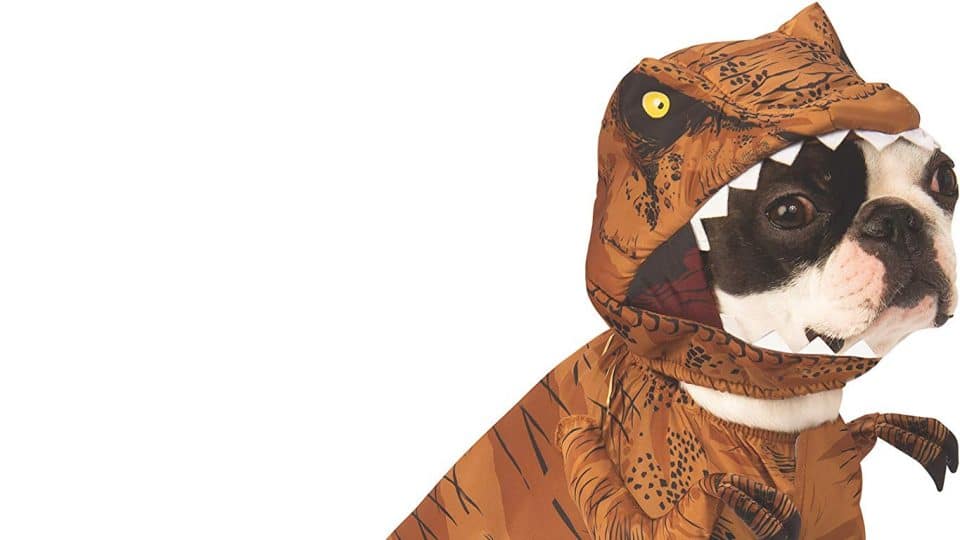 dog in T. Rex costume