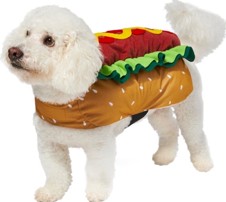 Dog in hot dog costume