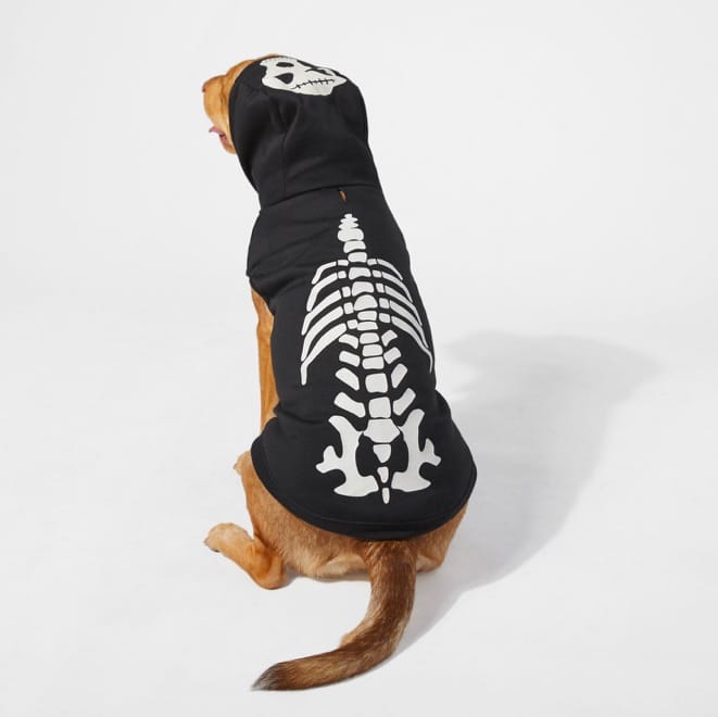 skeleton costume for dogs