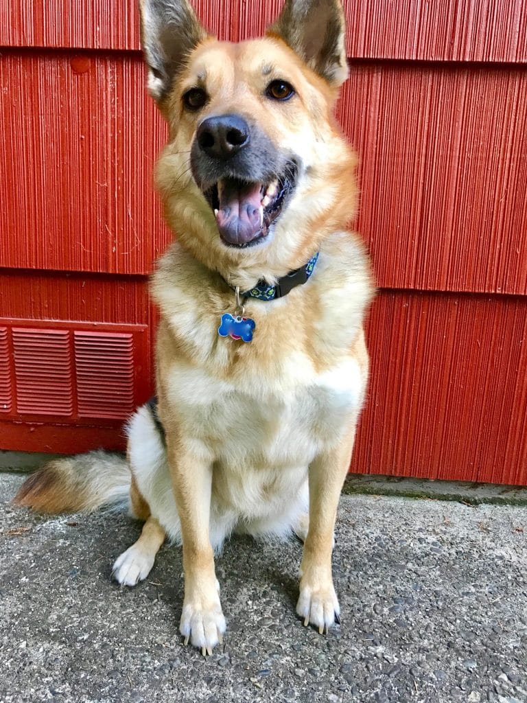Lana prête à aller courir