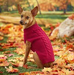 Frisco cable knitted red dog sweater
