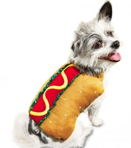 dog dressed in wiener costume with toppings and bun