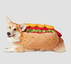 Corgi in wiener with toppings outfit