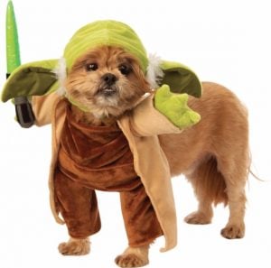 dog wearing Rubie's Yoda with lightsaber walking costume