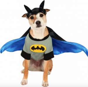 dog wearing Rubie's Batman costume