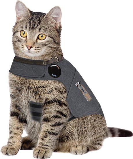 Thundershirt