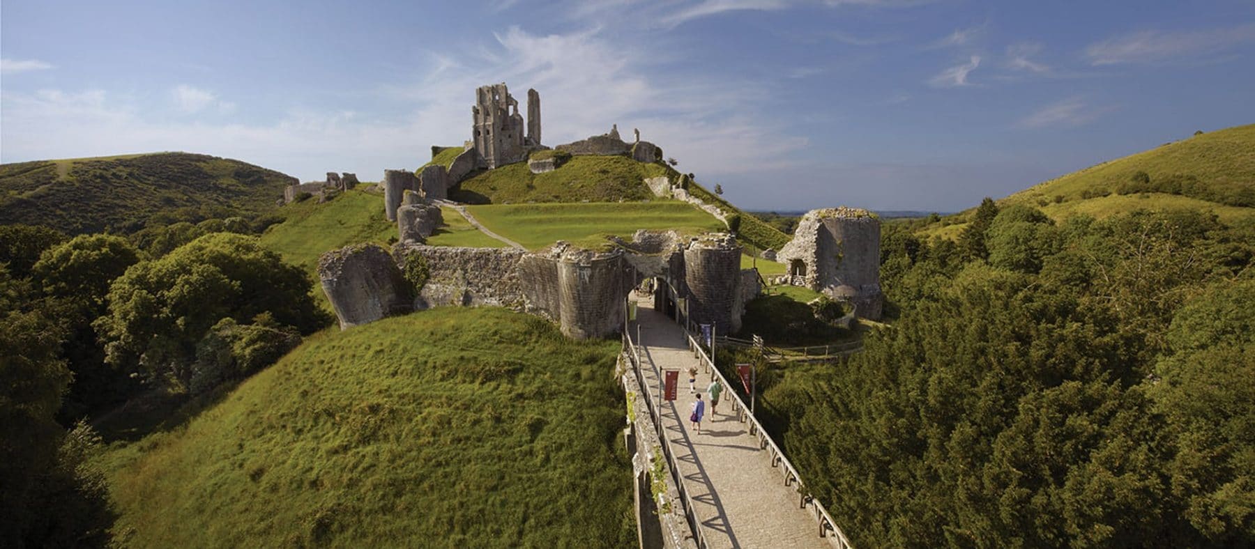 Top 6 Dog Walks in Dorset The Dog People by