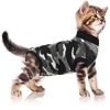 A kitten wearing a camo sweater
