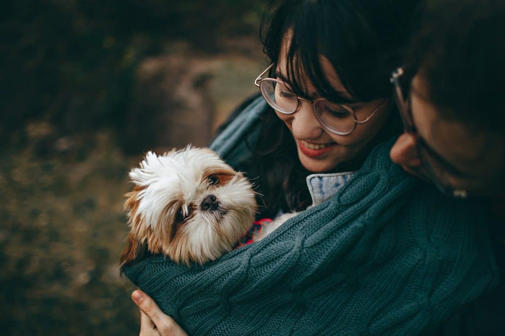 A couple cuddles a small dog