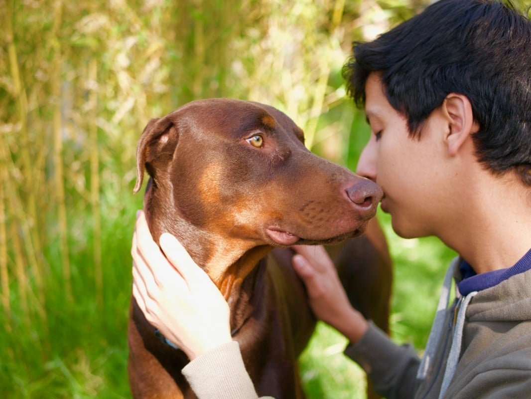 A dog and its owner staring peacefully at each other.