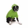 A dog wearing a hooded sweatshirt