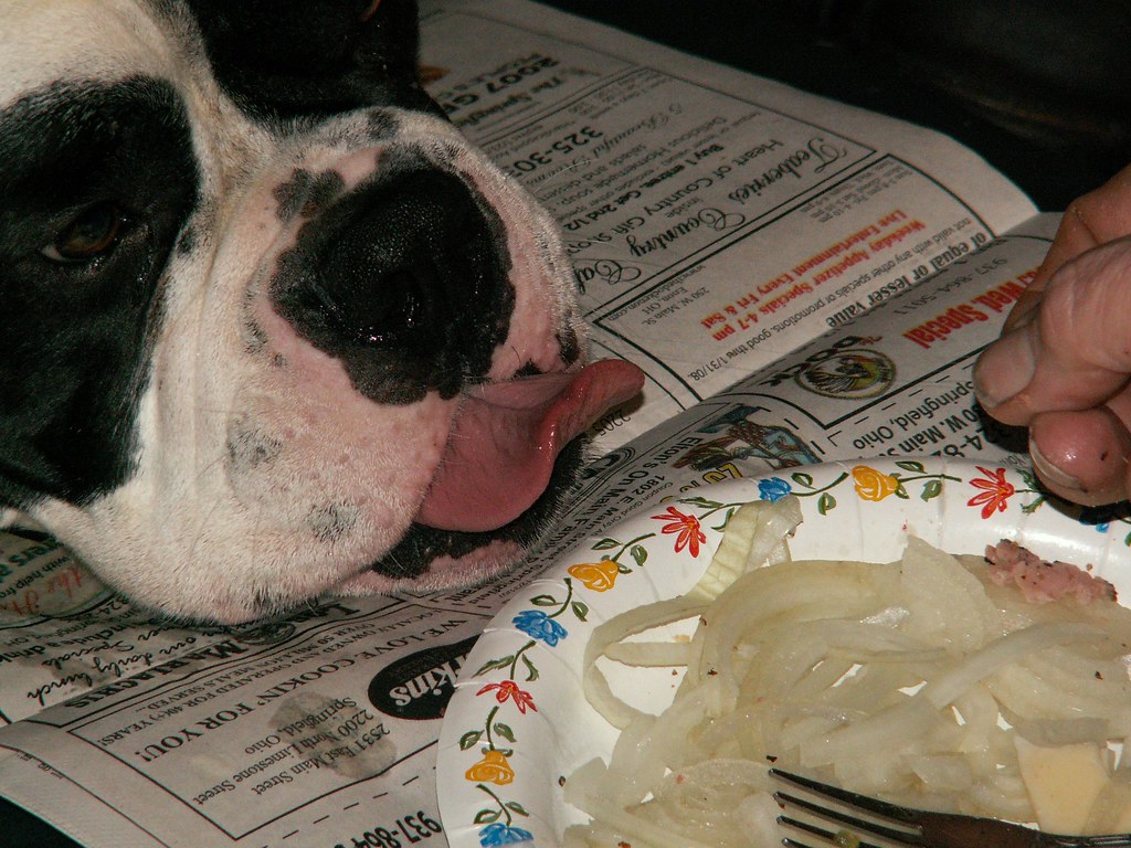 Can Dogs Eat Cooked Onion in Food? 2