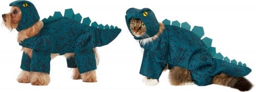 dog and cat in teal Stegosaurus costume