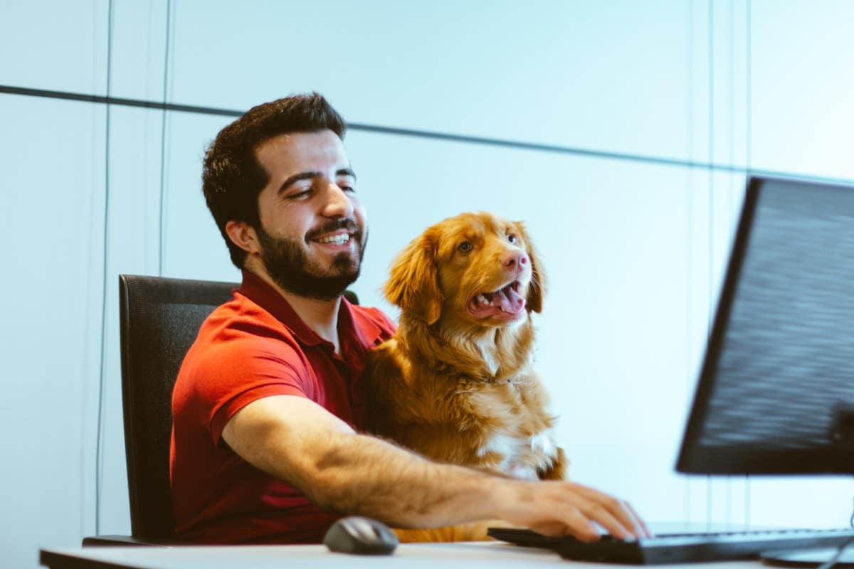 A young man working on a computer in an open floor plan office. A brown dog sits on the man's lap.