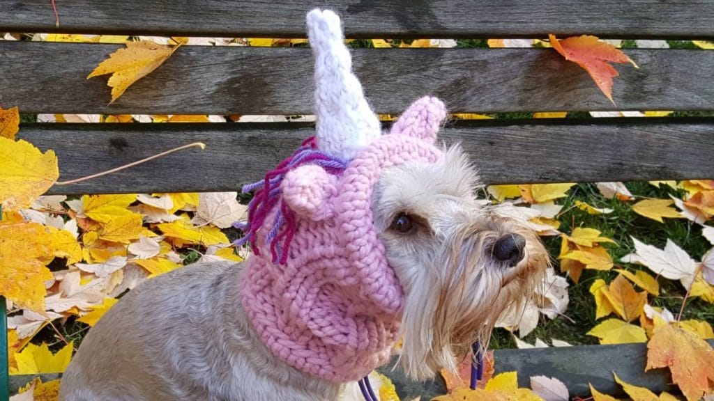 Unicorn Dog Costumes The Top Unicorn Halloween Dog Costumes