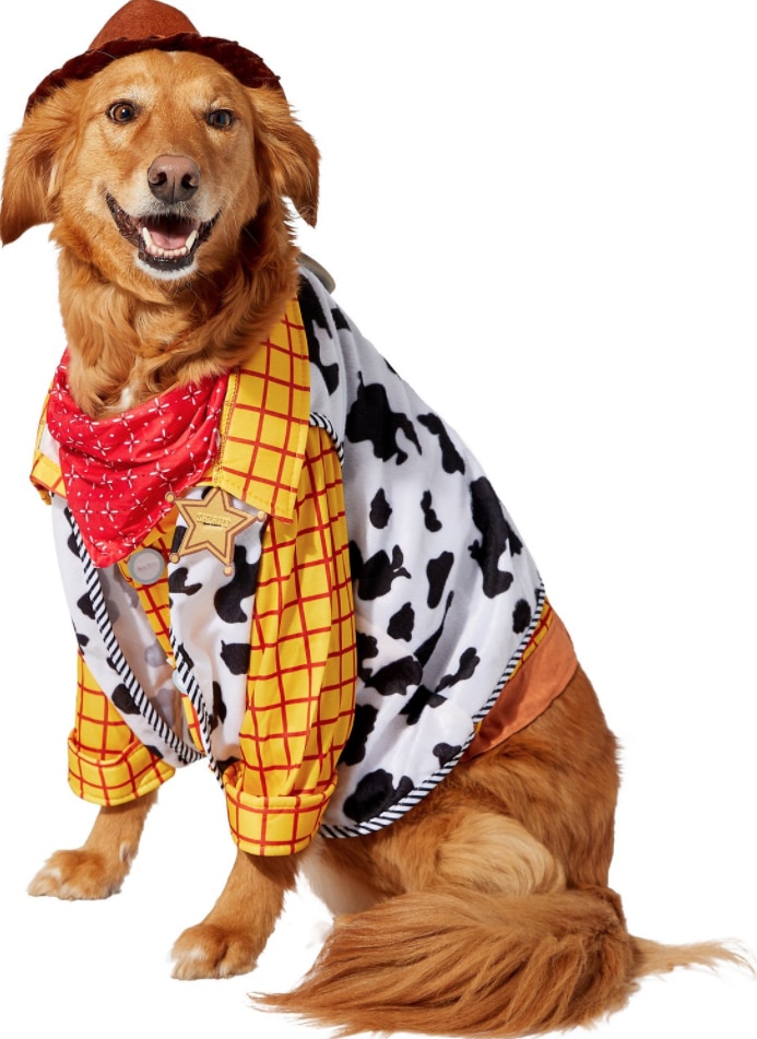 large dog wearing Woody costume with hat and top