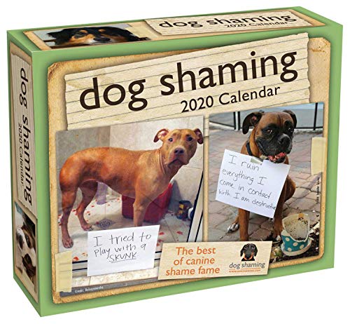 82+ Dog Shaming Coloring Book Free 82+ Dog Shaming Coloring Book Free