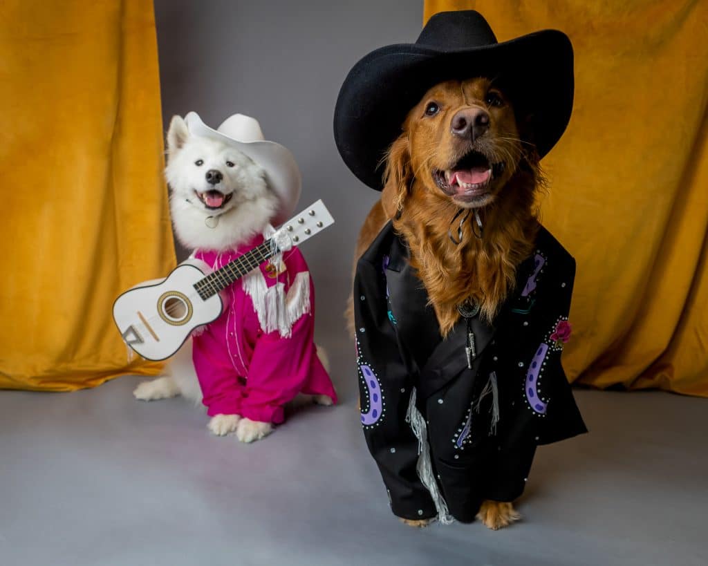 smaak in het midden van niets kromme De beste Halloweenkostuums van 2019 volgens onze honden. Welke is jouw  favoriet? | The Dog People by Rover.com