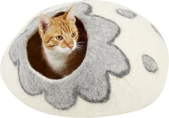 cat peeking out of Earthtone bed furniture for apartments