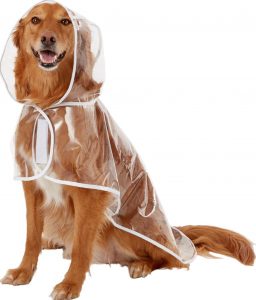 raincoat for beagle