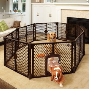 plastic dog enclosures
