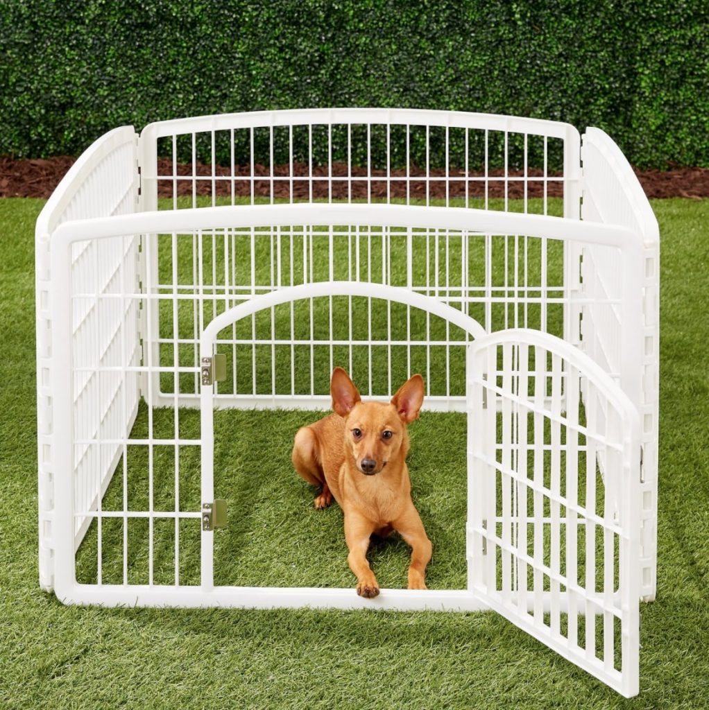 Puppy Playpens The 10 Best Pens for Your Playful Pup