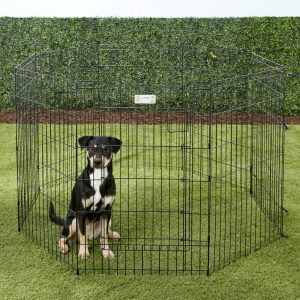 exercise playpen for dogs