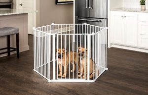 chihuahua playpen