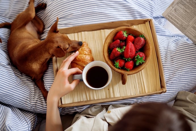 chien dans le lit à côté de café et de fraises