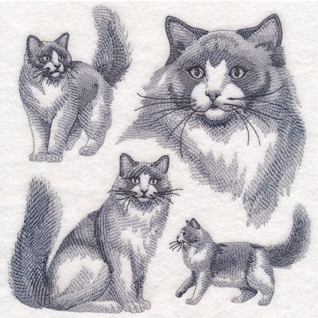 close-up of cat embroidery 