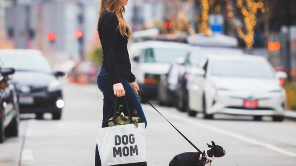 A woman walks her dog with a tote reading, "dog mom"