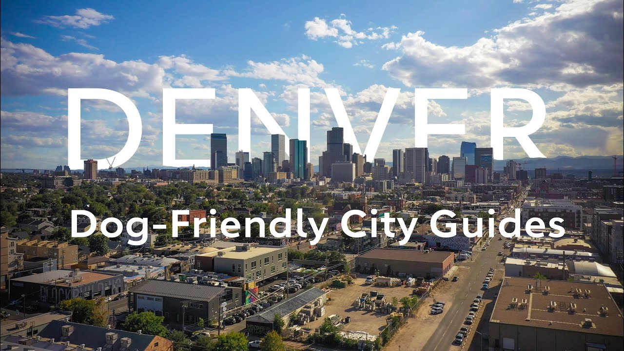 Is Denver A Dog Friendly City