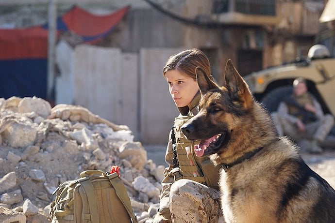 Film avec chien militaire Max