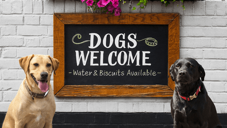 dog friendly pubs near my location