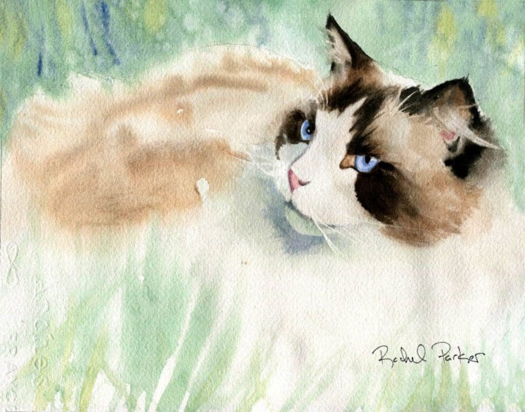 watercolor print of Ragdoll cat