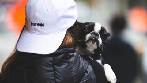 A woman holding a Boston terrier wears a hat reading "dog mom"