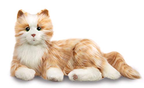 interactive plushy tabby cat toy