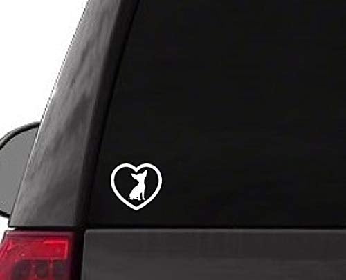 Car with Chihuahua decal