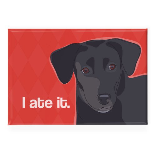 16 Best Labrador Gifts Top Gifts for Labrador Retriever Lovers 2020