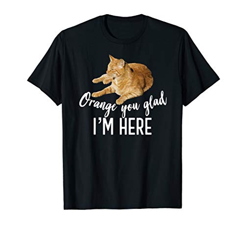 t-shirt gift with orange cat 