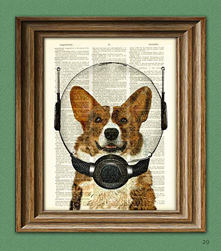 framed gift print of Corgi wearing space helmet on background of old dictionary page