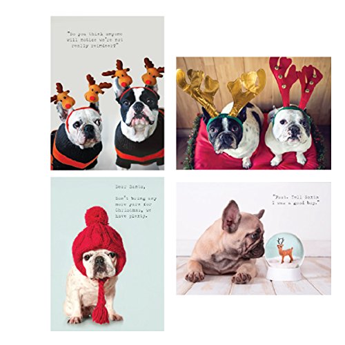 16 Dog Christmas Cards for 2019 Seasonal, Heartwarming, and Adorable