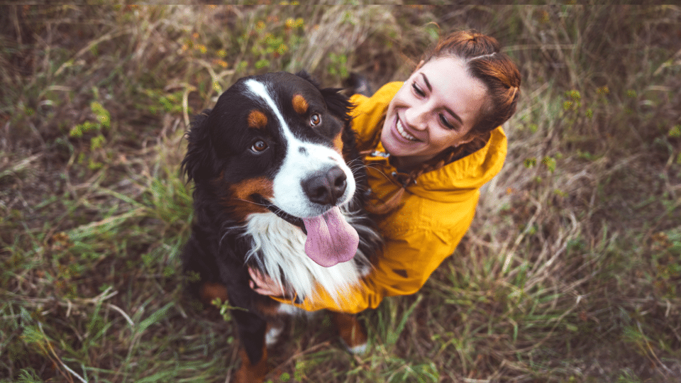 Dog Name Generator Find Your Dog Name by Breed, Gender, and More