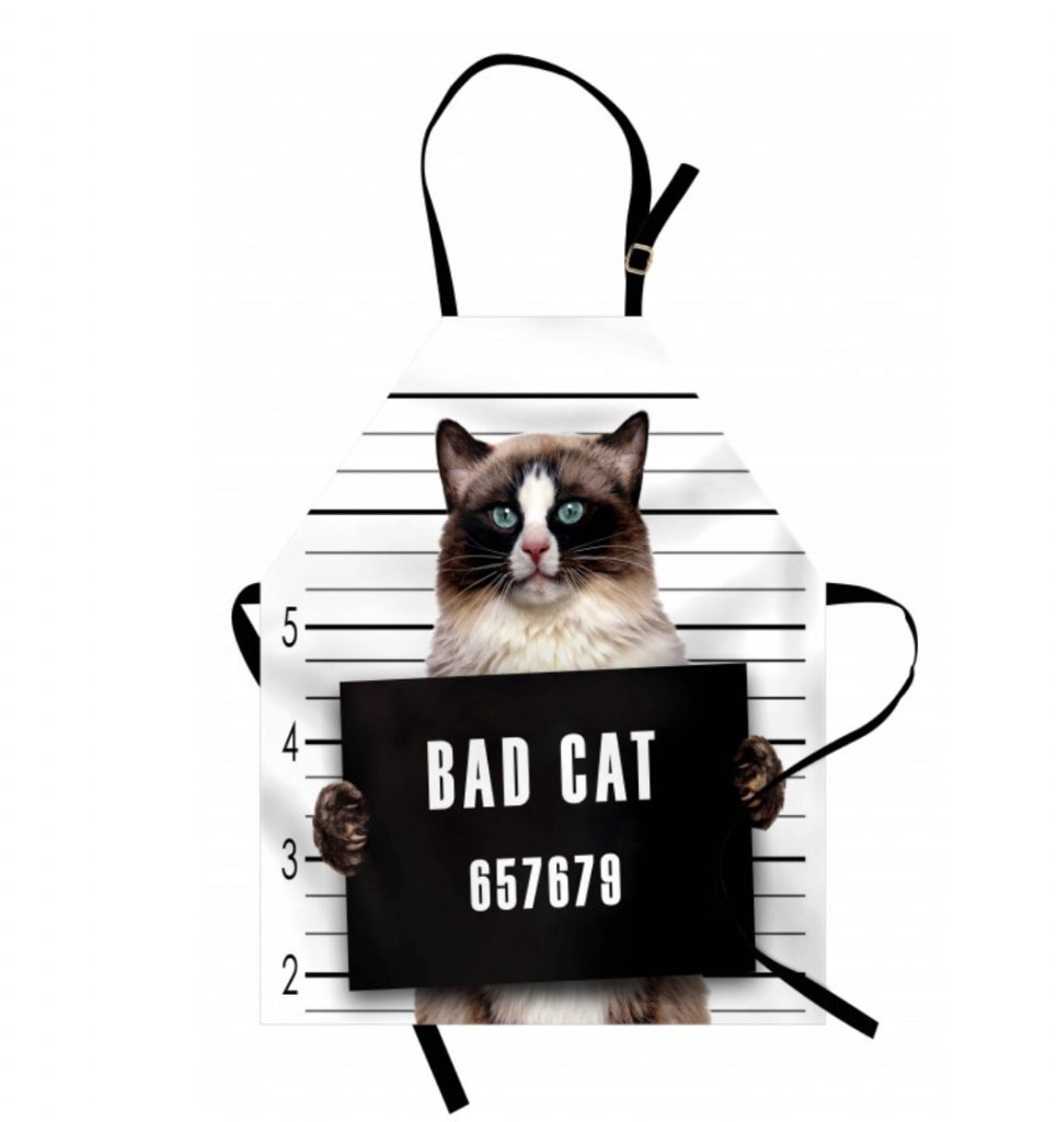 apron with kitty on front being booked for jail