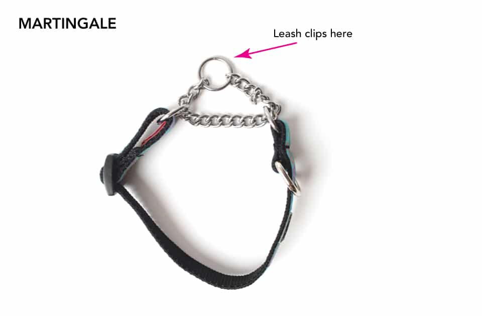 A martingale collar with notes