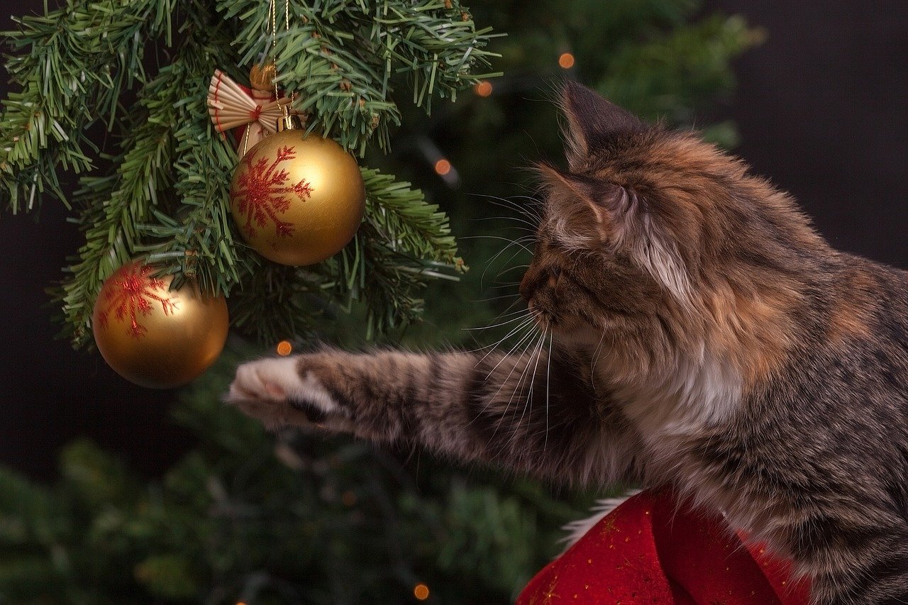 A cat bats at ornaments. A cat proof Christmas tree avoids this.