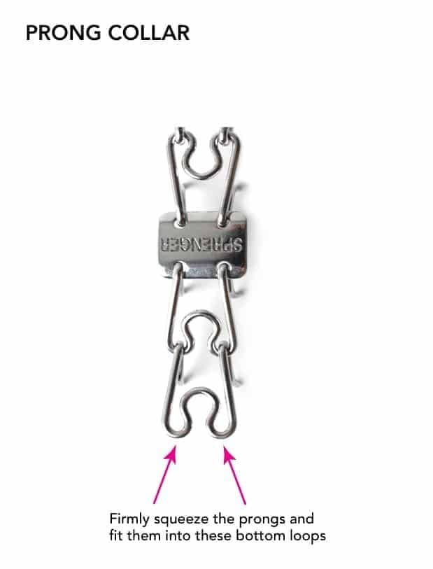 An example of how to connect a prong collar